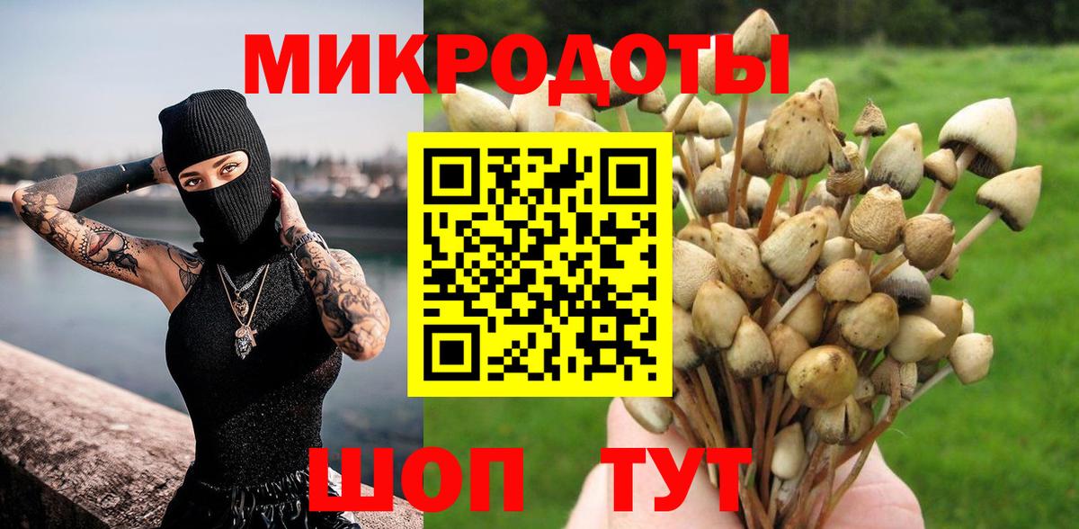 Галлюциногенные грибы Cubensis Лесозаводск