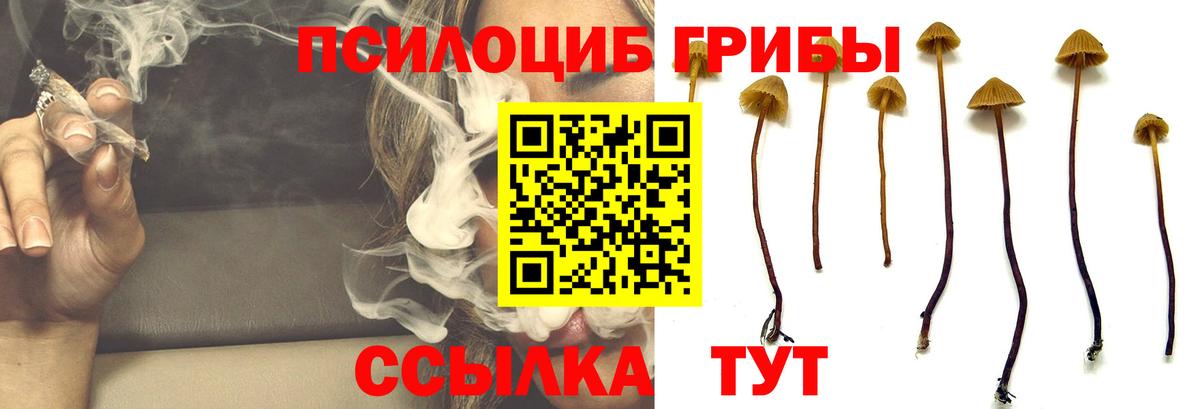 Псилоцибиновые грибы MAGIC MUSHROOMS  Вход с VPN  Лесозаводск 